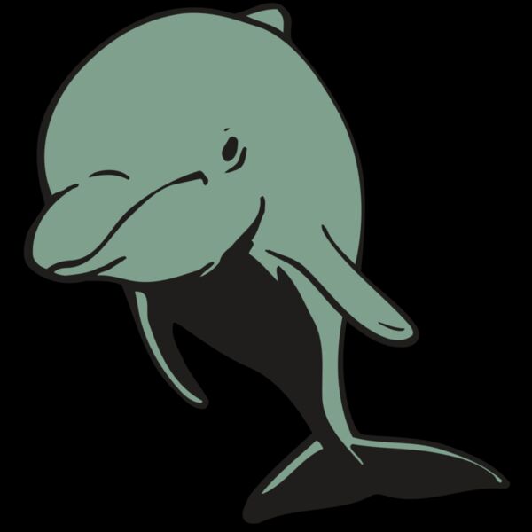 AR DOLPIN 11 RC Thumbnail