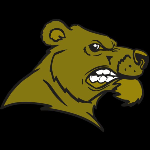 AR BEAR 11 RC Thumbnail