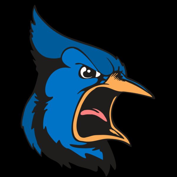 BAW BLUEJAY 03 RC Thumbnail