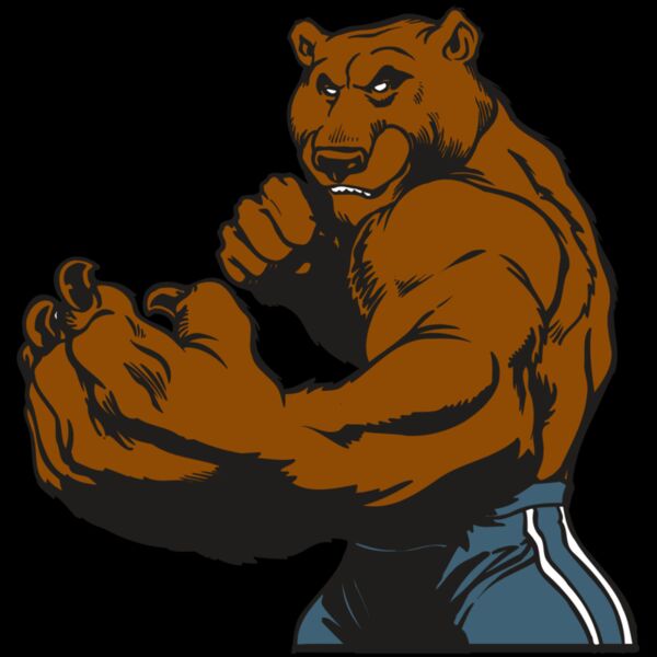 AR BEAR 31 RC Thumbnail