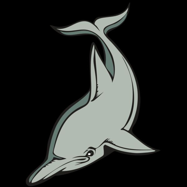 BAW DOLPHIN 01 RC Thumbnail