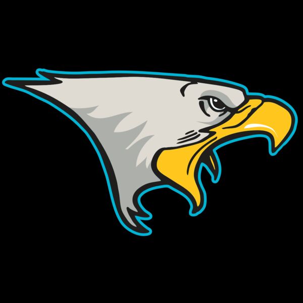 AR14 EAGLE FBALL 01 RQC Thumbnail