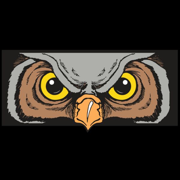 AR5 Owl 13 RQC Thumbnail